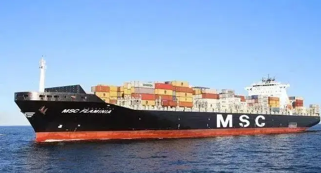 1655435259290.jpg